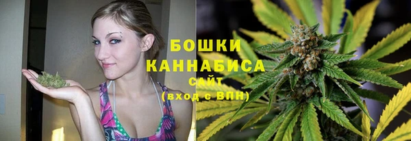 гашик Белоозёрский