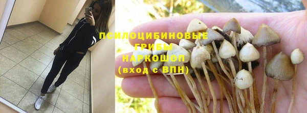 прущая мука Белокуриха