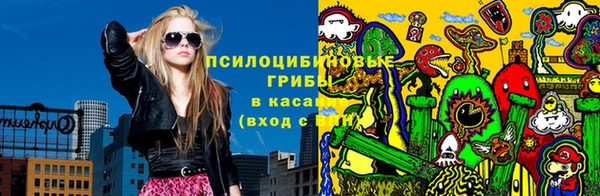 гашик Белоозёрский