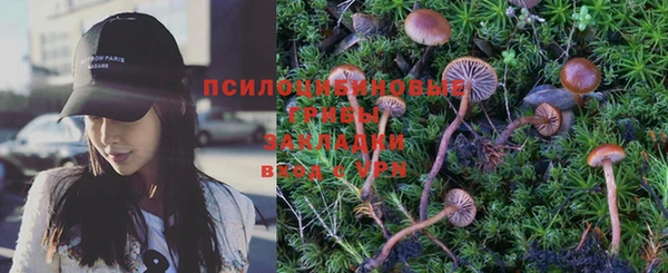 прущая мука Белокуриха