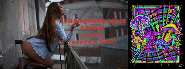 гашик Белоозёрский