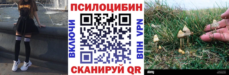 нарко площадка наркотические препараты  Видное  Псилоцибиновые грибы ЛСД  ОМГ ОМГ  