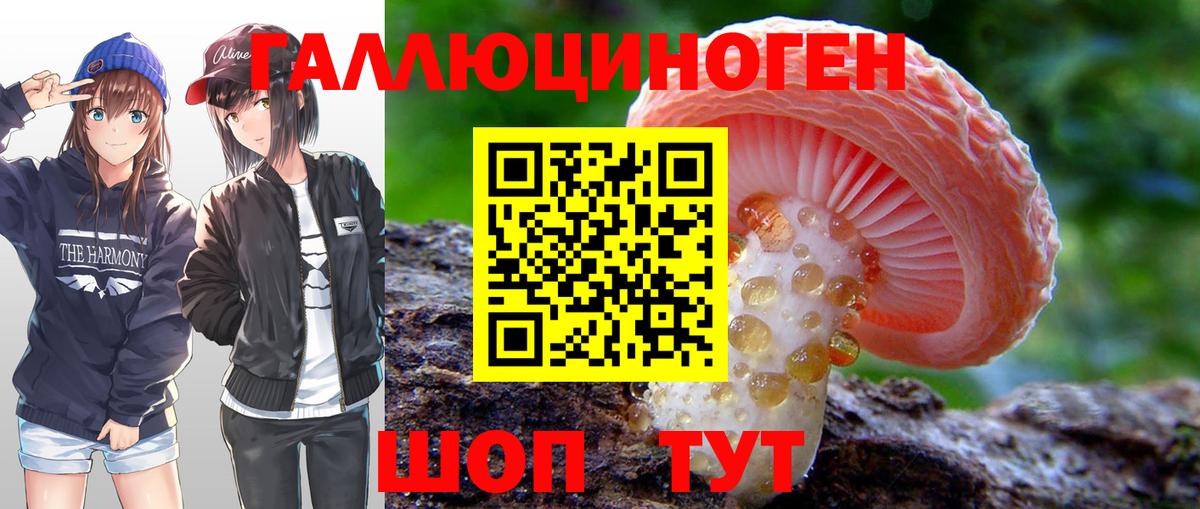 Галлюциногенные грибы ЛСД  Вход с VPN  Видное  Псилоцибиновые грибы Psilocybe 